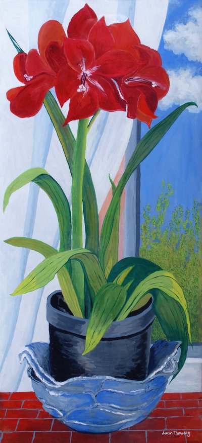 Amaryllis in a Blue Bowl 2011 by Joan Thewsey